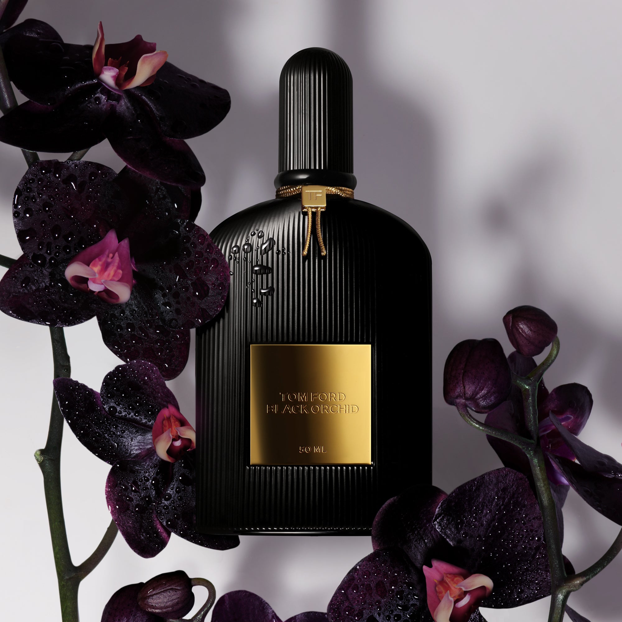 Black Orchid - 1ESX01TFS2-888066000079_03