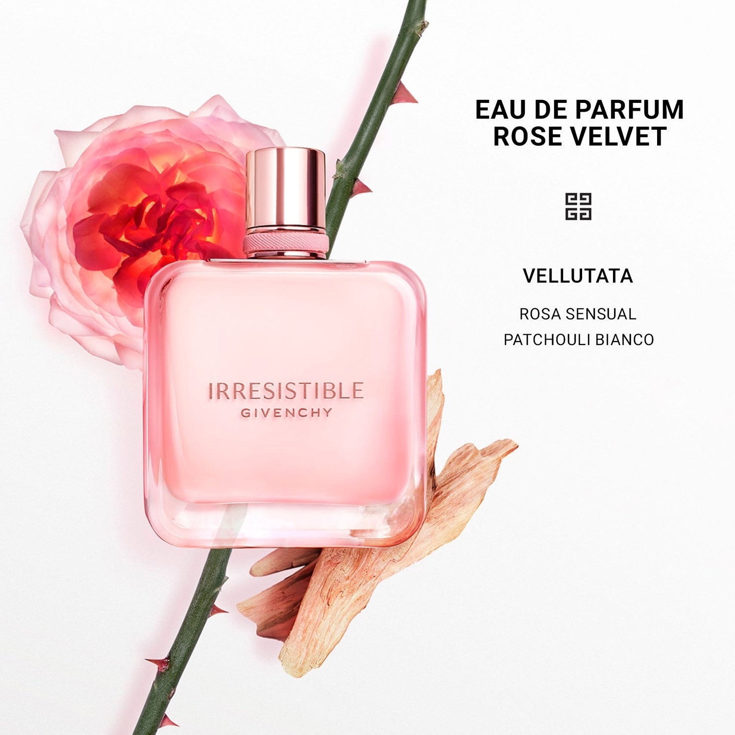 Rose Velvet - 1GVX01IRVPR-3274872447547_02