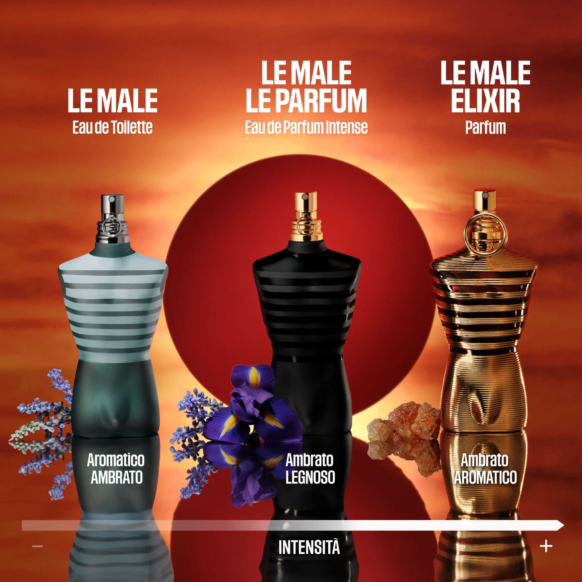 Le Parfum - 1JPY01MPS1-8435415032278_05