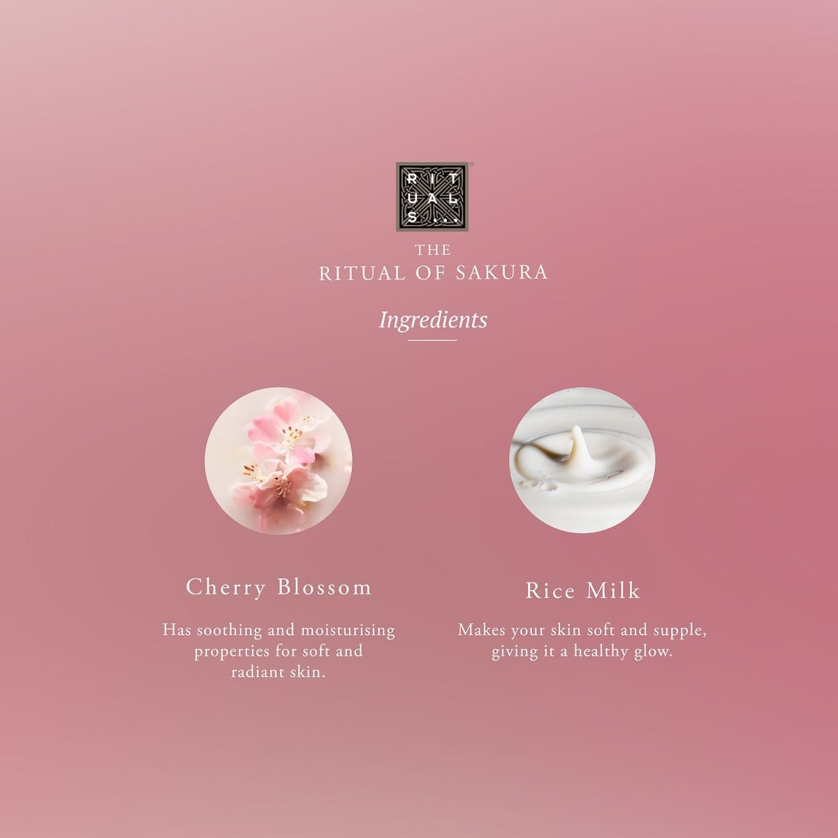 The Ritual of Sakura - Small Gift Set 2024 - 1RT0000000190-8719134184471_04